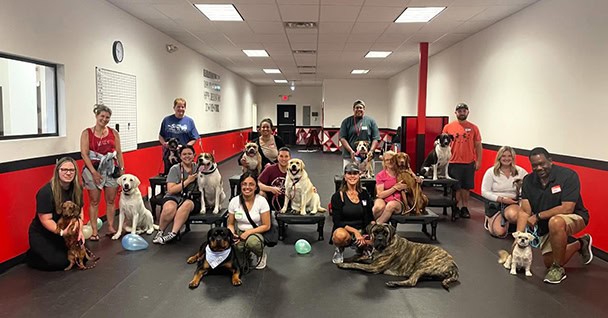 Immersive Dog Training in New Jersey